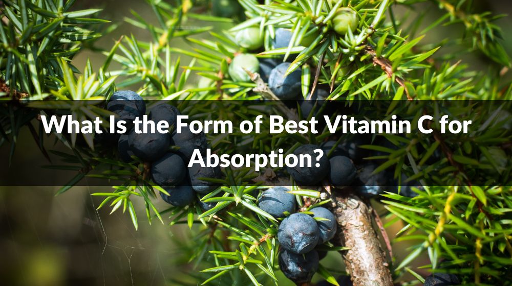 What Is the Form of Best Vitamin C for Absorption?